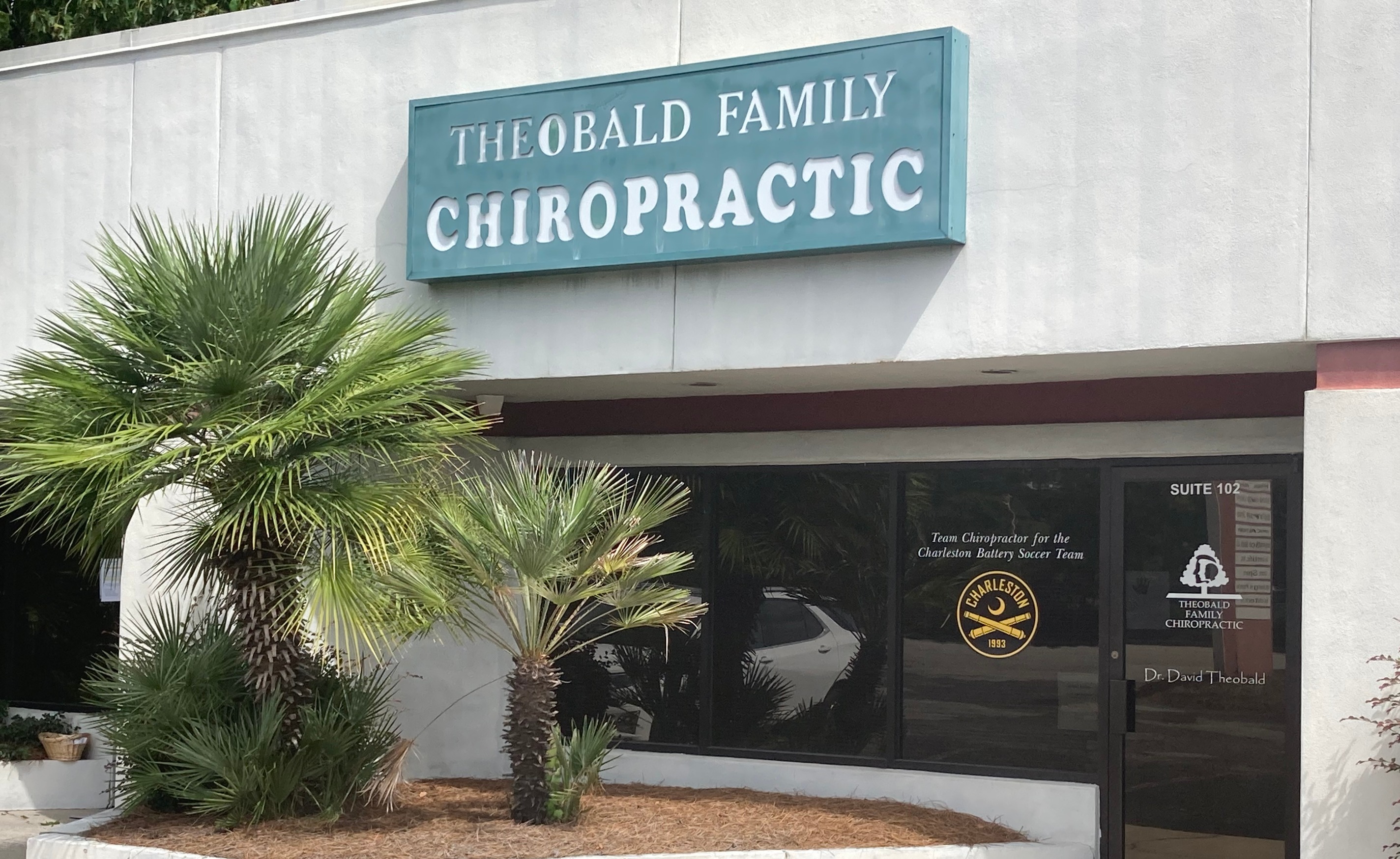 Chiropractor Theobald Family Chiropractic Mount Pleasant