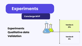 Concierge MVP experiment