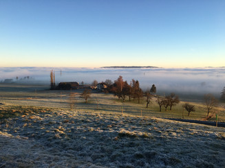 über dem Nebel