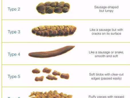 Are you experiencing loose stool? 💩