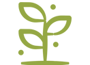 NO BACKGROUND CCT Logo GREEN.png