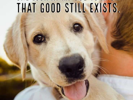 Blog for Sunday 21st December 2025