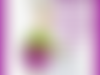 Blog for Tuesday 20th January 2026