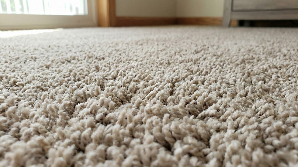 Close-up detail of plush residential carpet