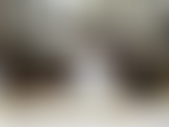 Hardwood Floor Maintenance: Protecting Your Investment