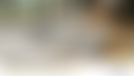 Different carpet fiber types displayed in modern home