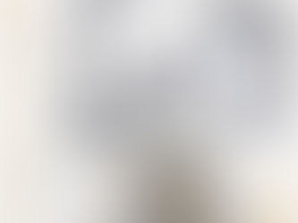 CAPABILITIES, INC: CELEBRATING 70 YEARS