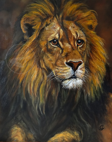 force tranquille 1_edited.jpg