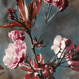 Eclosion au Crépuscule