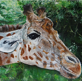 Animal Girafe Portrait Artiste peintre Vendée