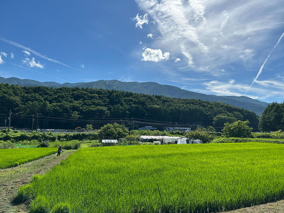 入笠山が見える富士見町の景色。こうした環境で活動することを大切にしたい。