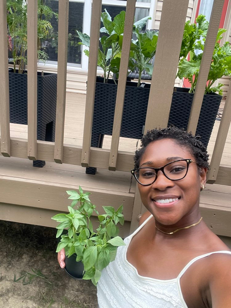 My First Vegetable Garden: From Seed to Supper