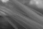 Ethereal fabric flowing in a quiet liminal space.