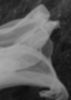 Sheer fabric flowing over grass in liminal spaces.