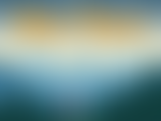 A New Year, A New Start in Scouting