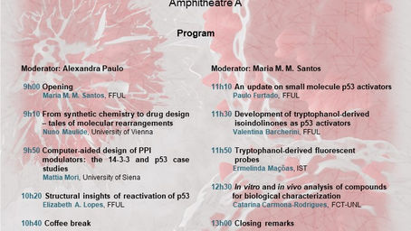 Recent Advances in Drug Discovery of p53 Reactivators Meeting