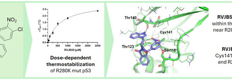New Paper in ChemMedChem!