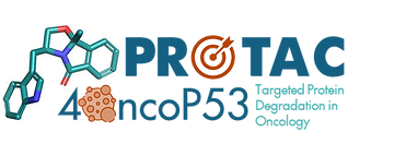 Logo projeto.png