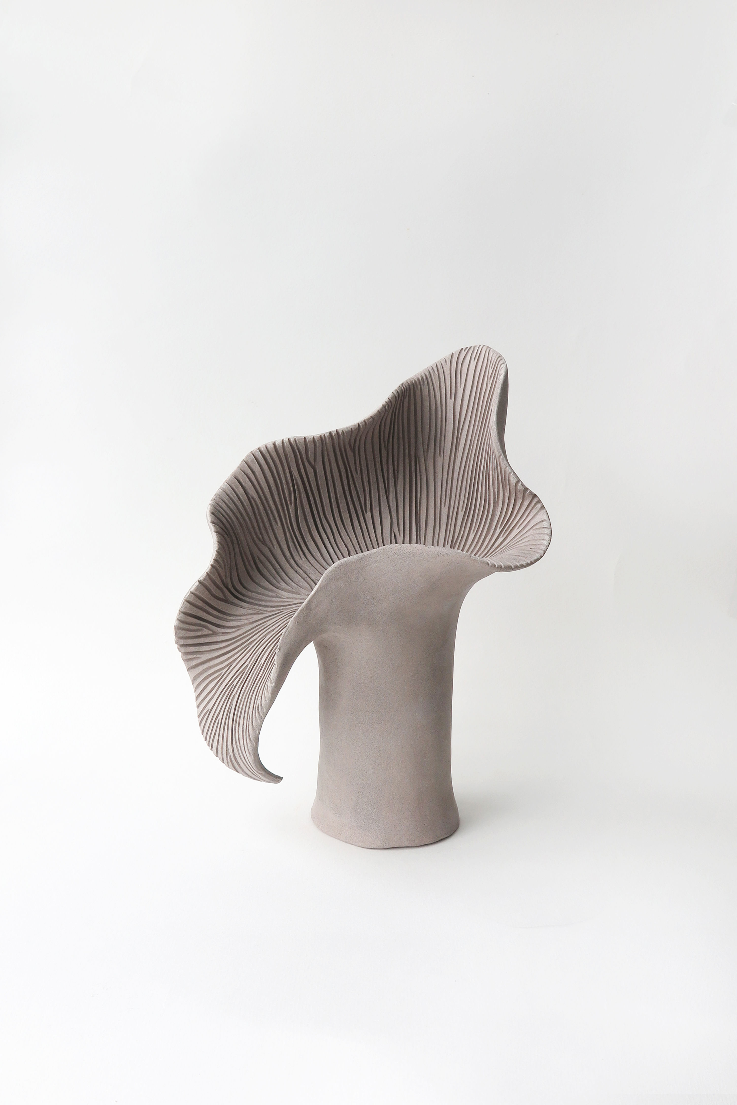 BOTANICAL UNFOLDING // No. 18 - GREY