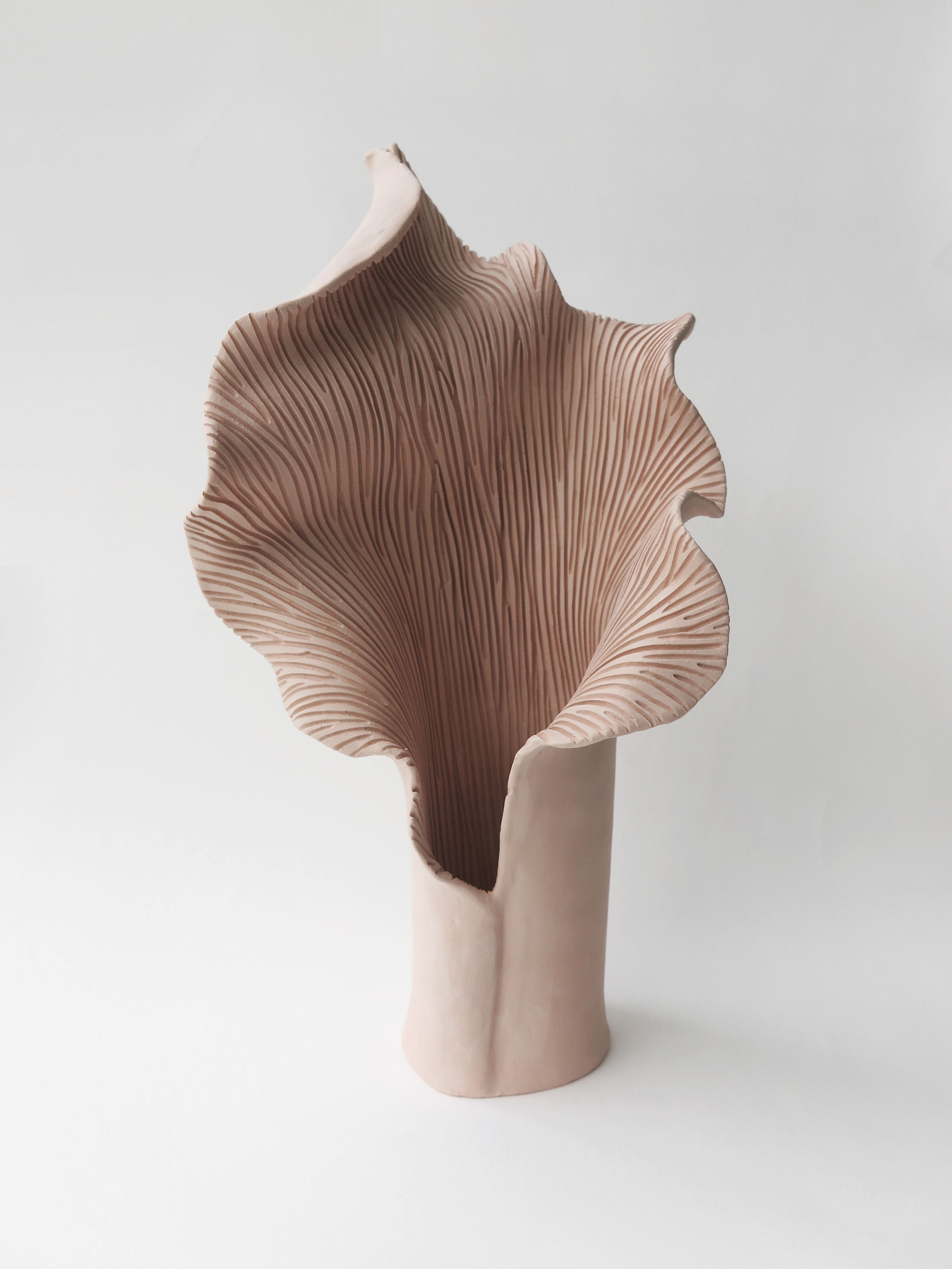 BOTANICAL UNFOLDING // No. 07 - TERRACOTA