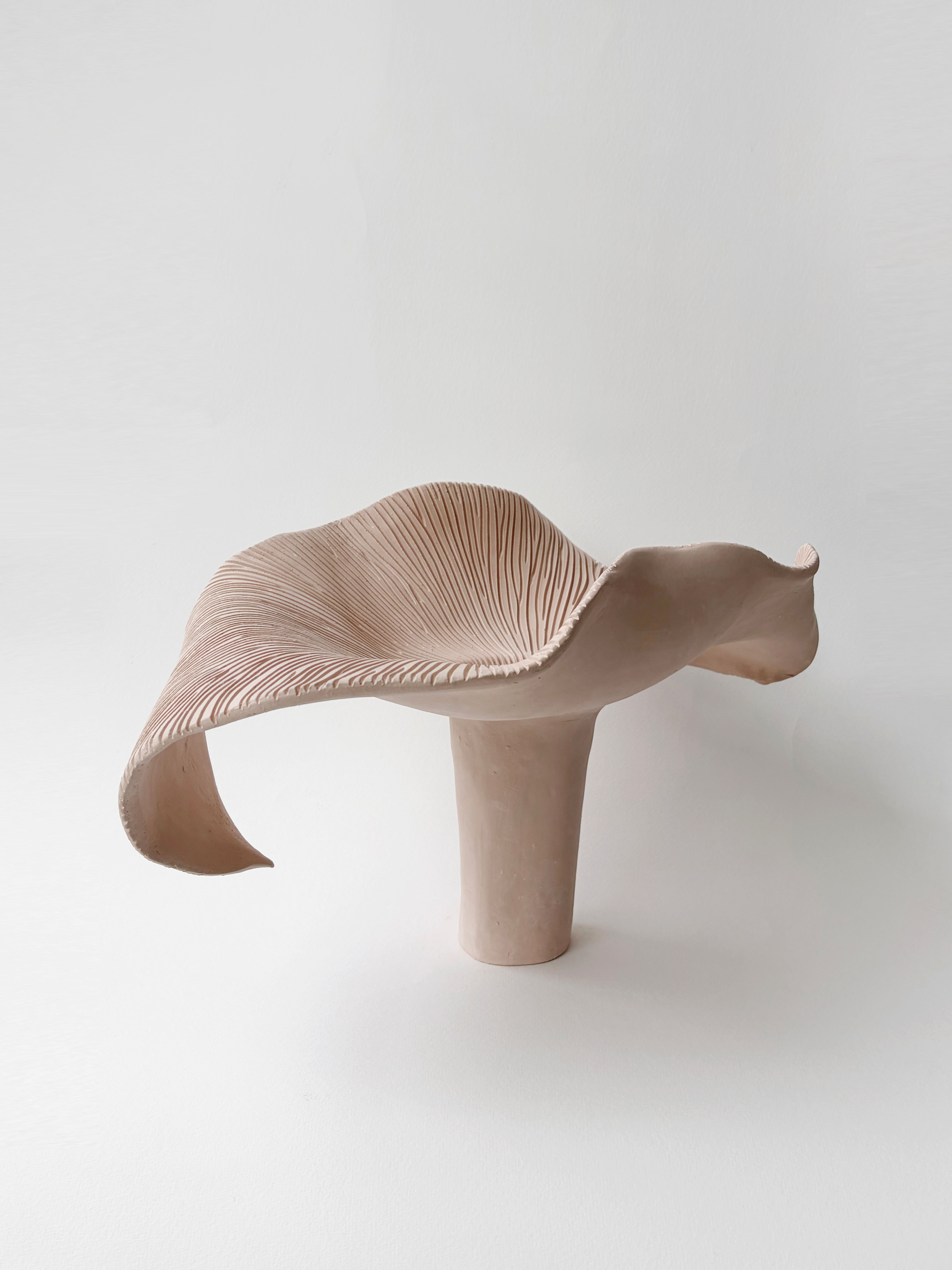 BOTANICAL UNFOLDING // No. 06 - TERRACOTA