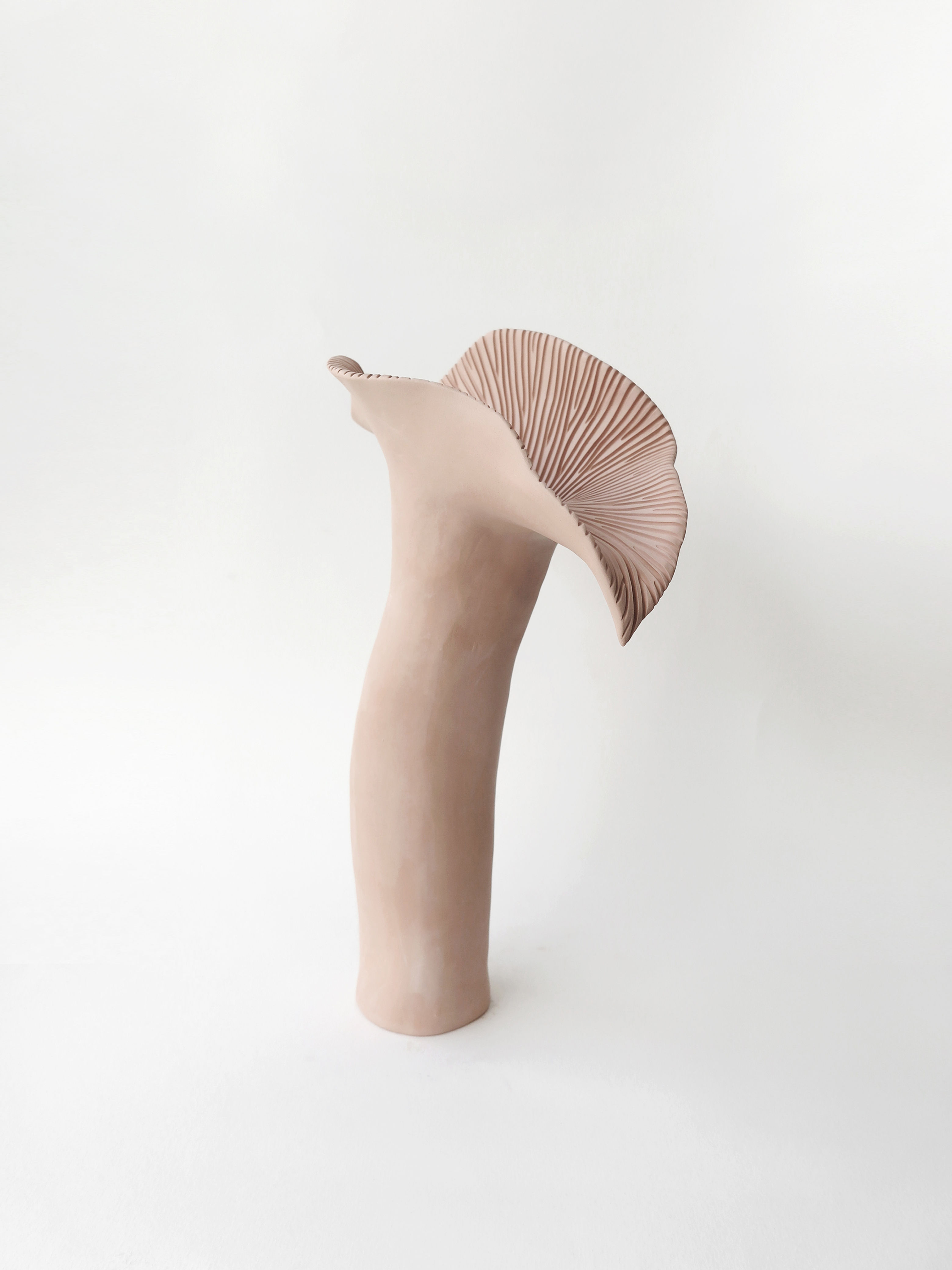 BOTANICAL UNFOLDING // No. 14 - TERRACOTA