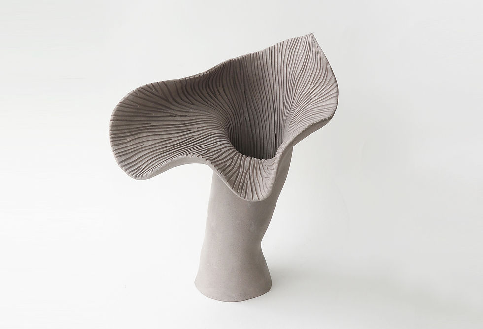 Thumbnail: BOTANICAL UNFOLDING // No. 19 - GREY