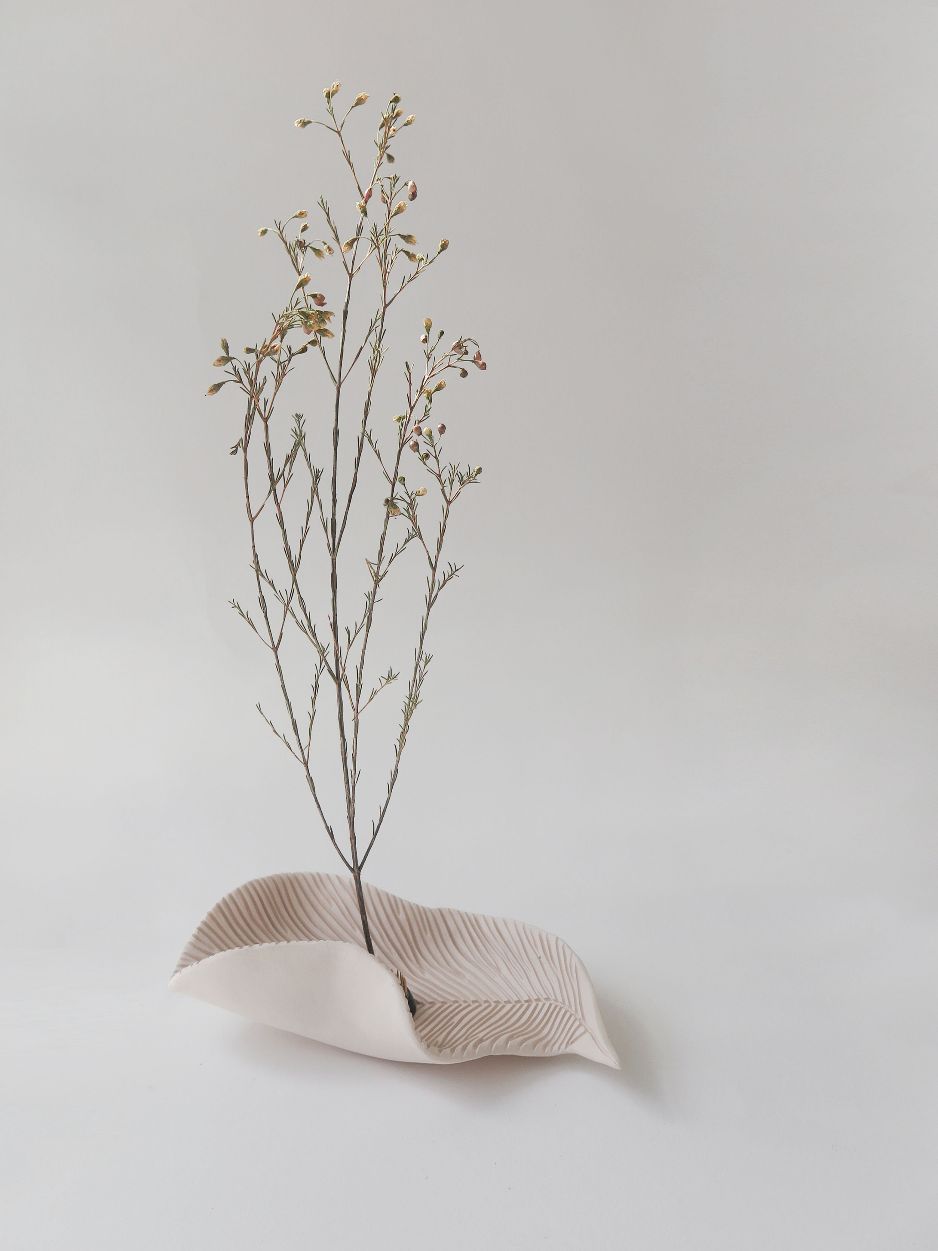 LEAF BOWL 04