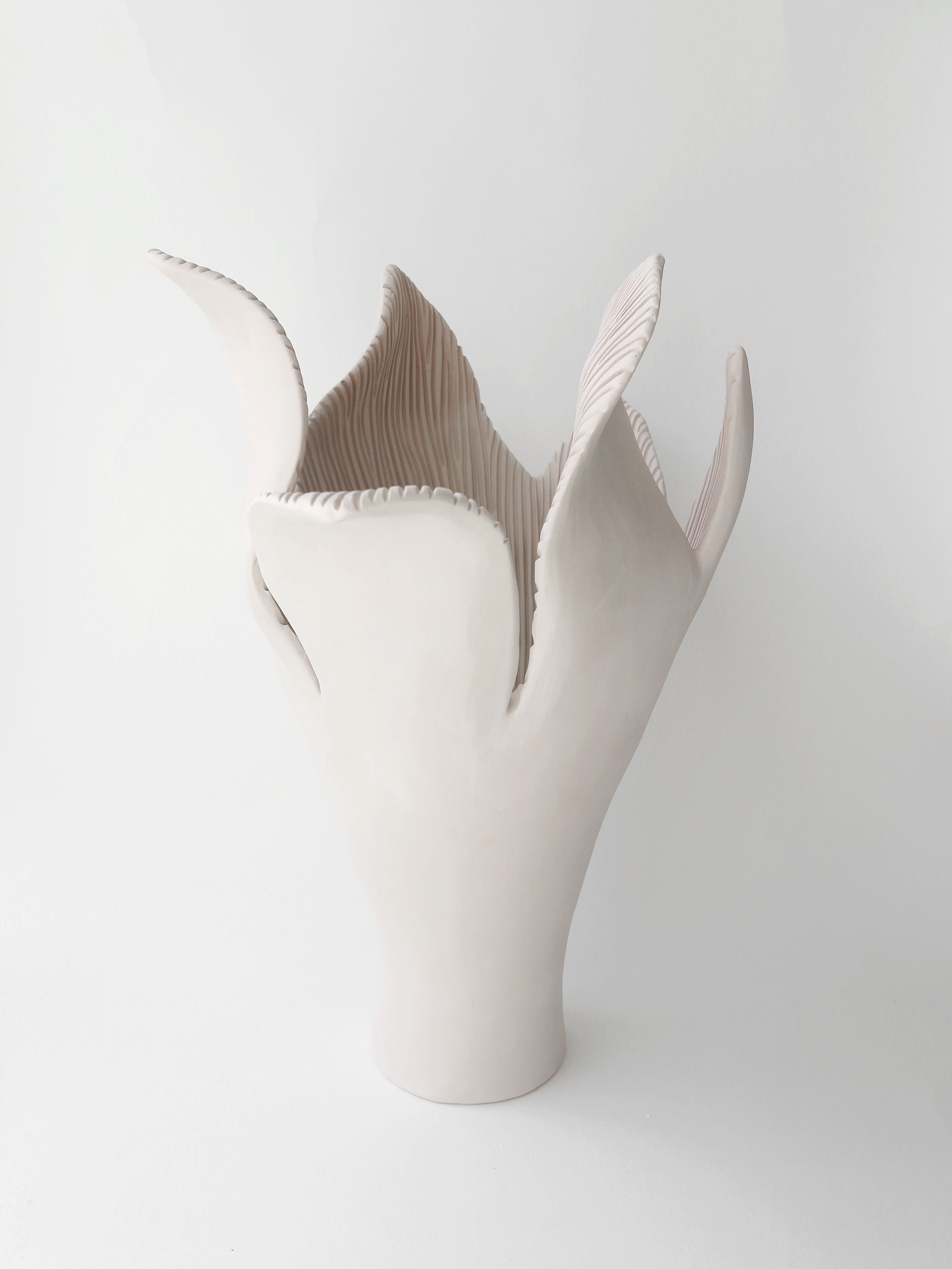 BOTANICAL UNFOLDING // No. 04 - NATURAL