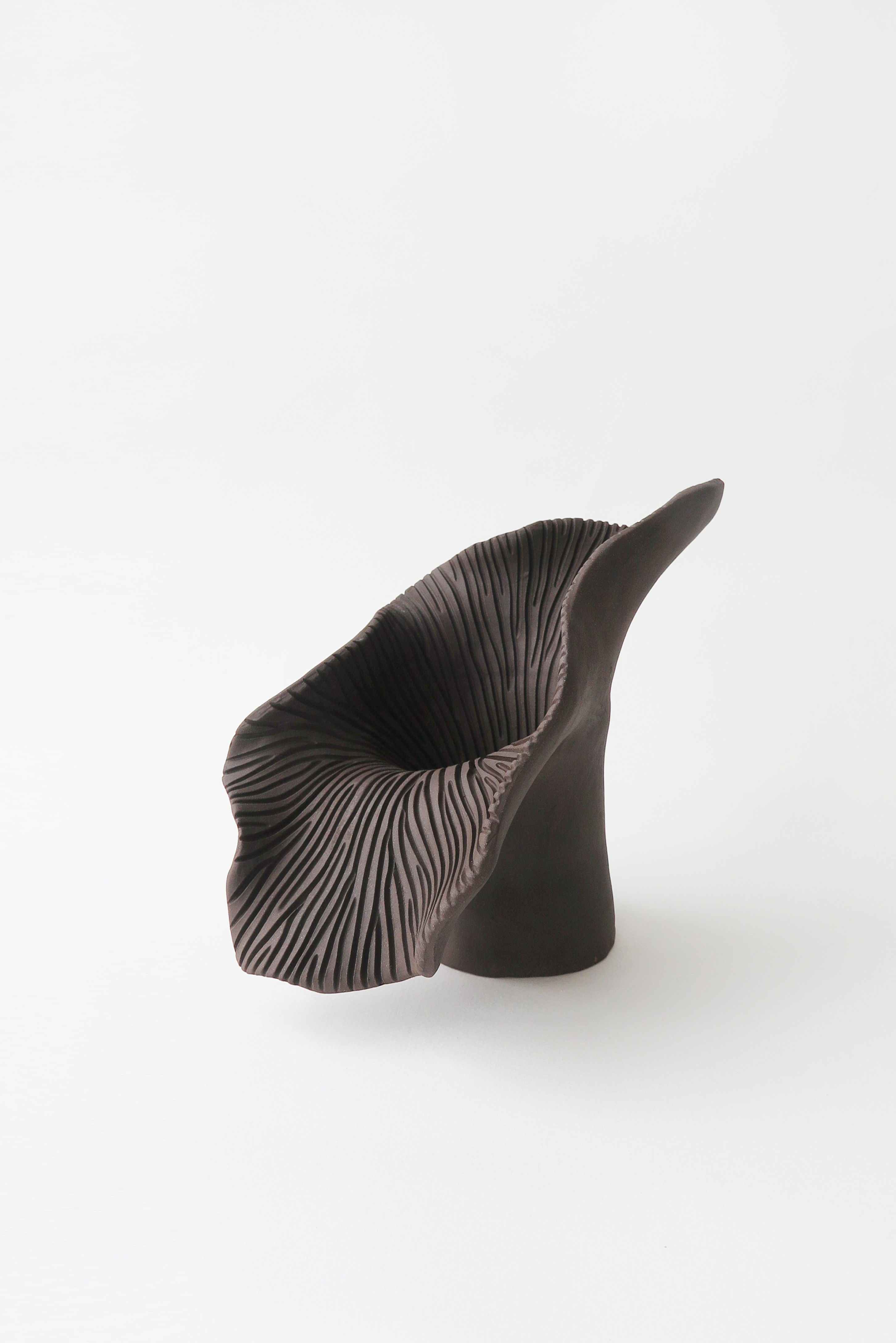 BOTANICAL UNFOLDING // No. 16 - CHOCOLATA BROWN