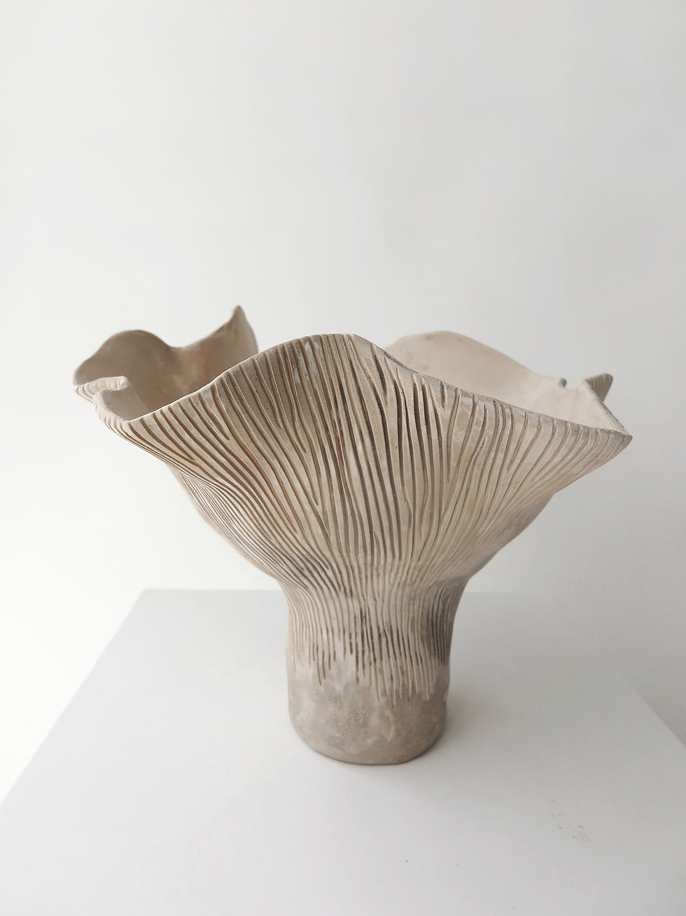 Thumbnail: XL SYMPHONY IN MUSHROOM//BOWL NO.9 - MIXED