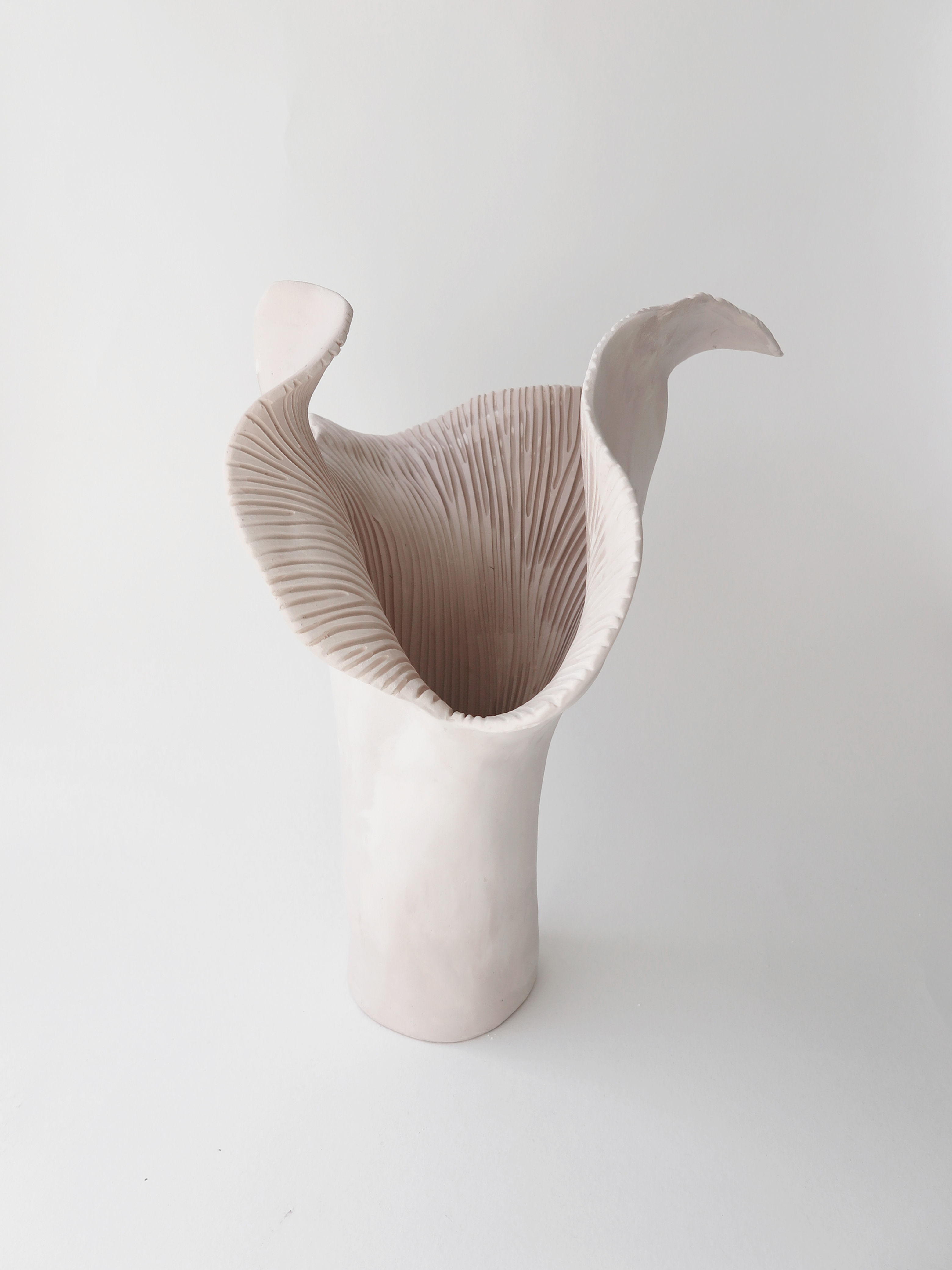 BOTANICAL UNFOLDING // No. 01 - MIXED