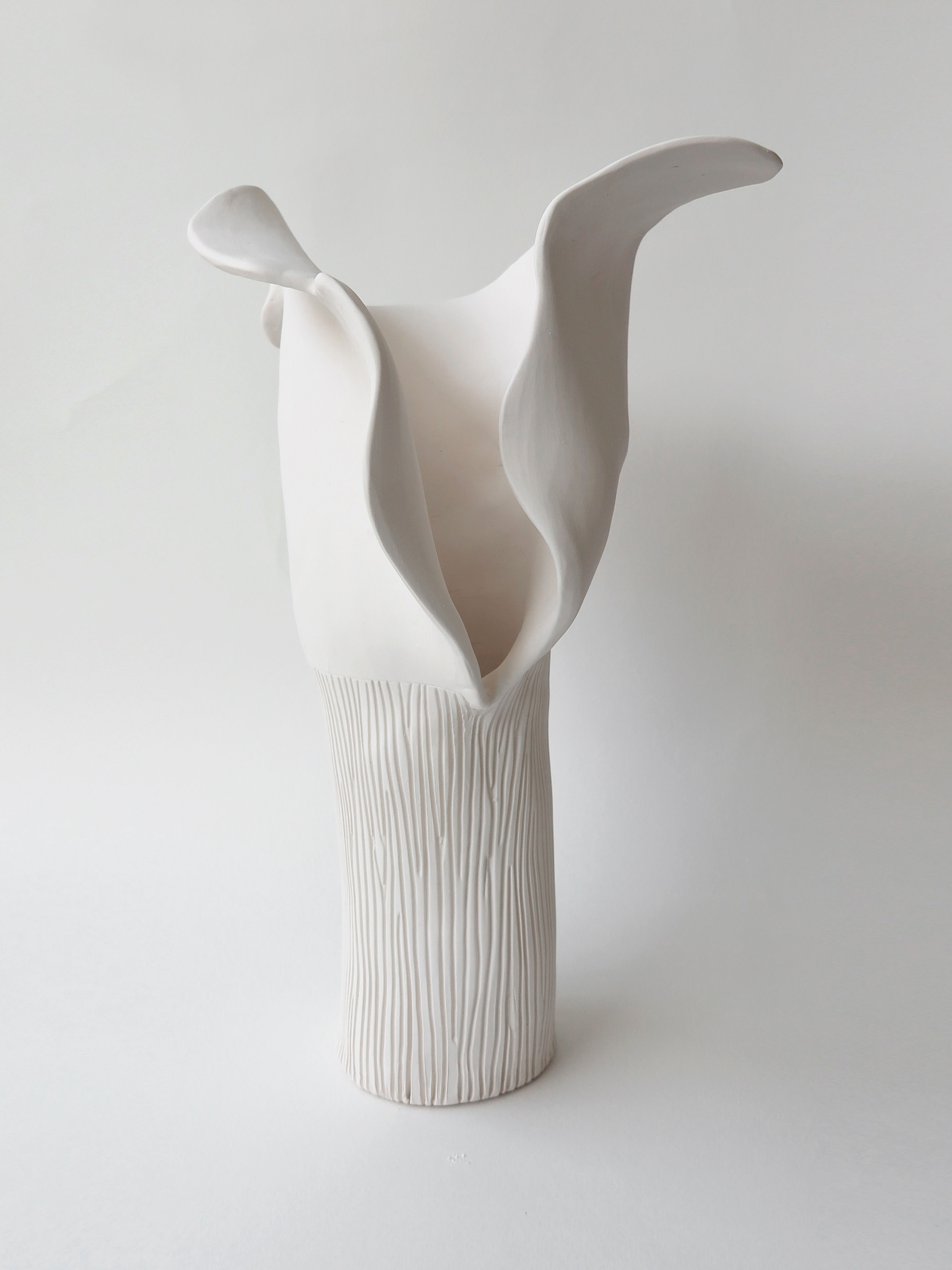 BOTANICAL UNFOLDING // No. 03 - WHITE
