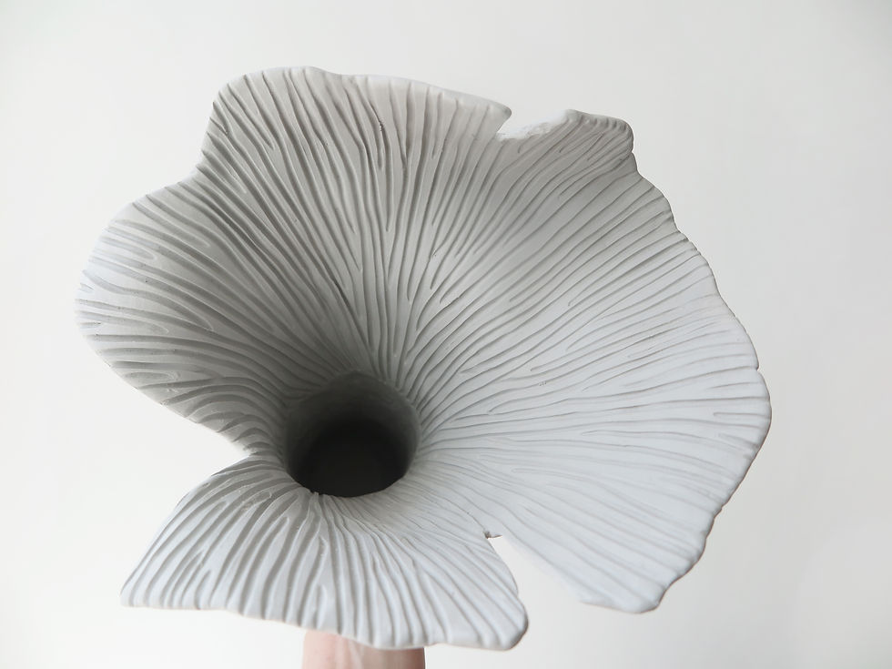 Thumbnail: M WILD MUSHROOM BLOOM//NO.2 - CONCRETE