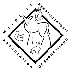RI Wildlife-fotor-20240115235822.png