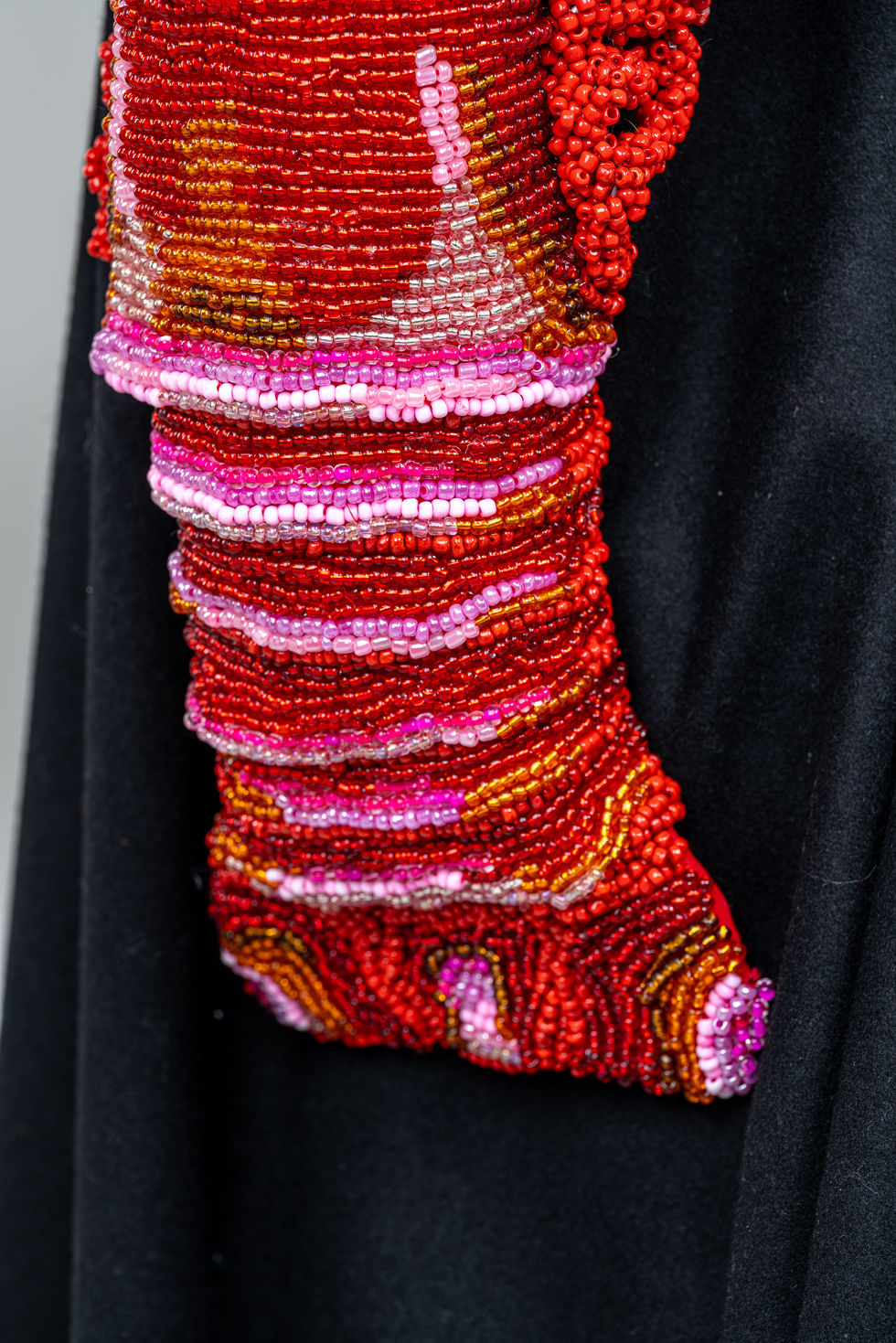 Schiaparelli Close up