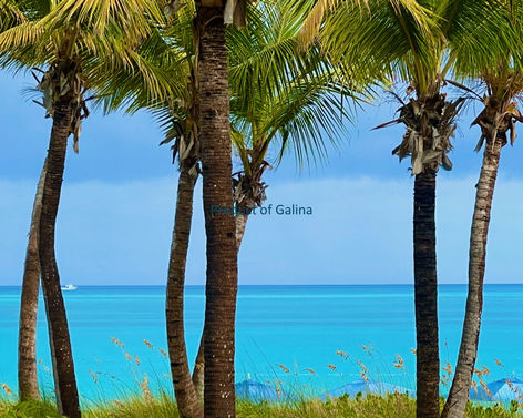 Palms by Grace Bay Beach 
