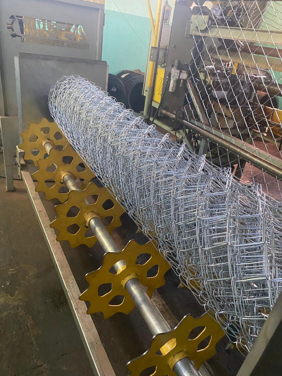 WhatsApp Image 2026-03-01 at 00.10.25 (1)