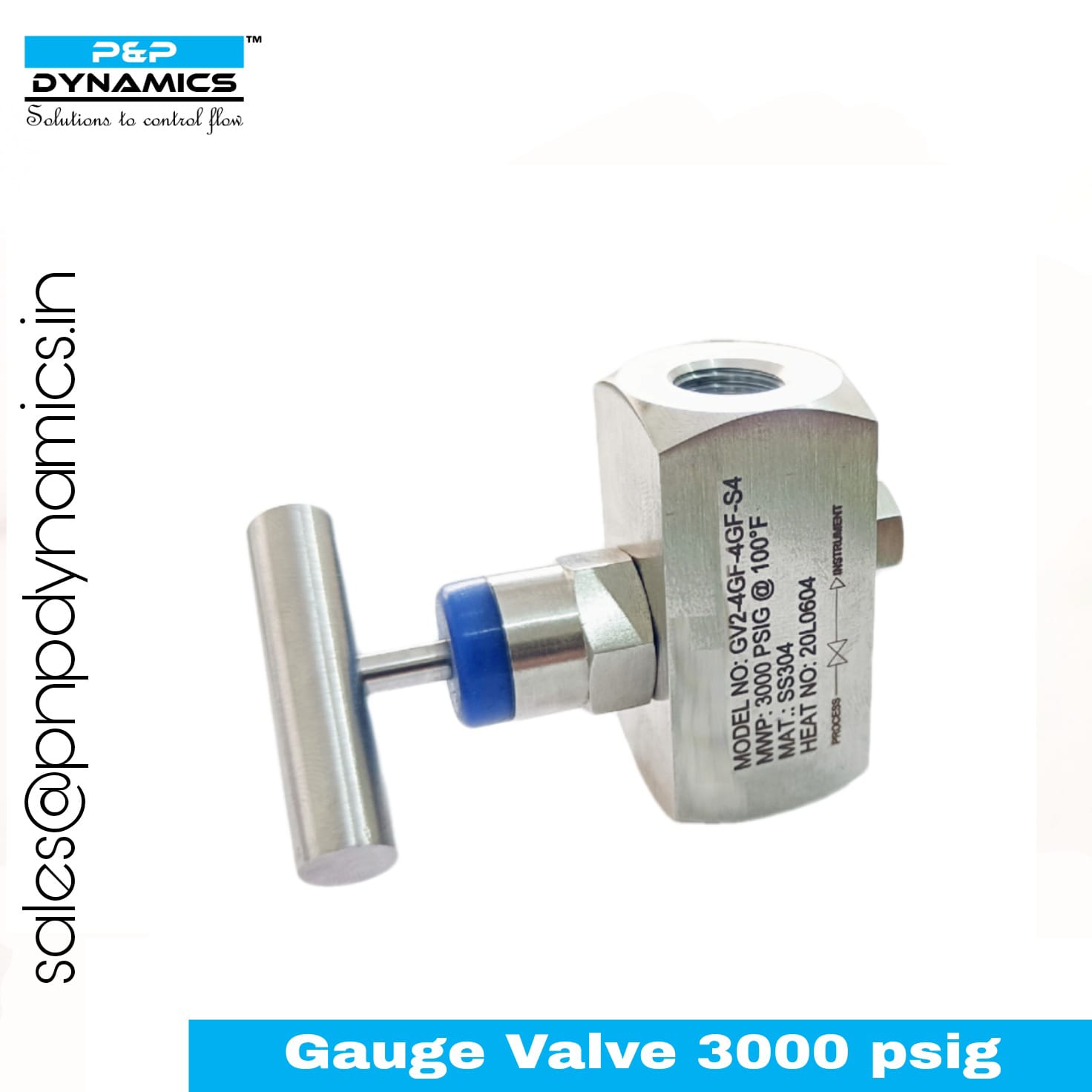 Gauge & Bleed Valves
