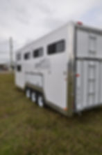 Bumper pull trailer ladder access