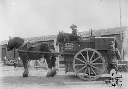 Old Horse float Ambulance used to transport sick horses