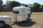 2 Horse side view