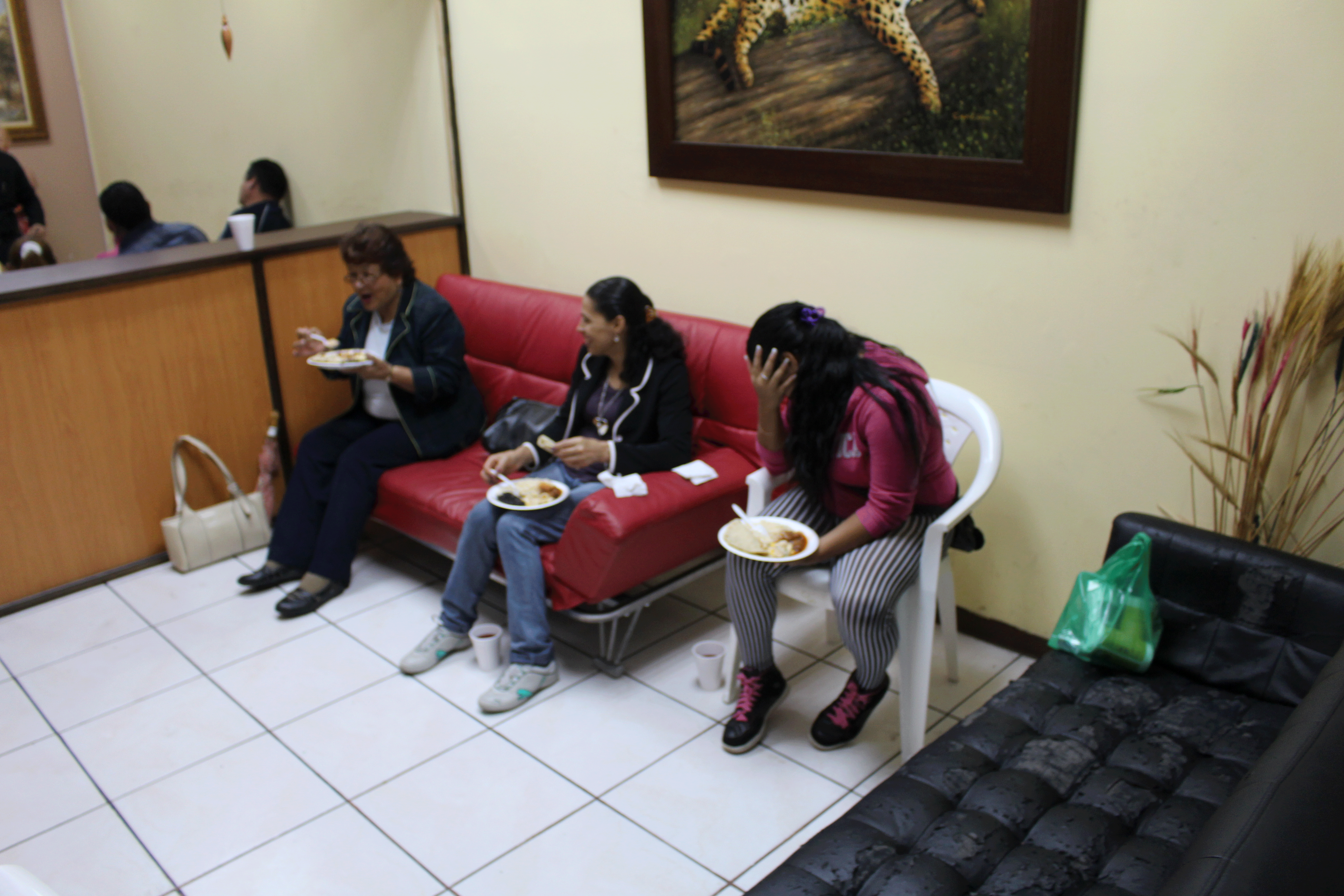 IMG_2195.gif