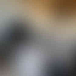 Before Photos for a living room design