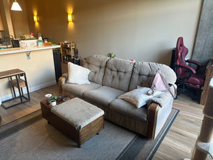 Before photo of living room design