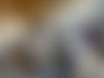 Before photo of living room design