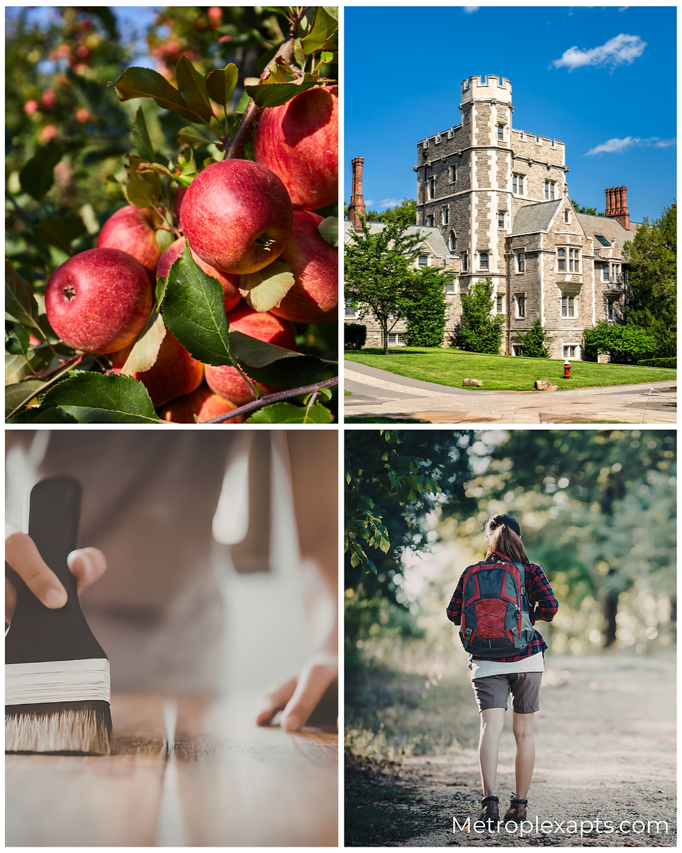 A photo collage showcasing local things to do near Monmouth Junction, NJ. Clockwise from top-left: ripe red apples on a branch (Terhune Orchards), a historic stone Collegiate Gothic building in Princeton, a woman hiking on a trail (South Brunswick parks), and a close-up of a hand painting a wood surface (Board & Brush creative workshop).