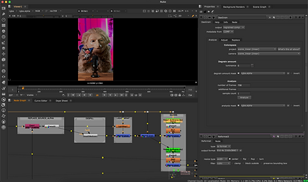 Online editing video editing post production Nuke