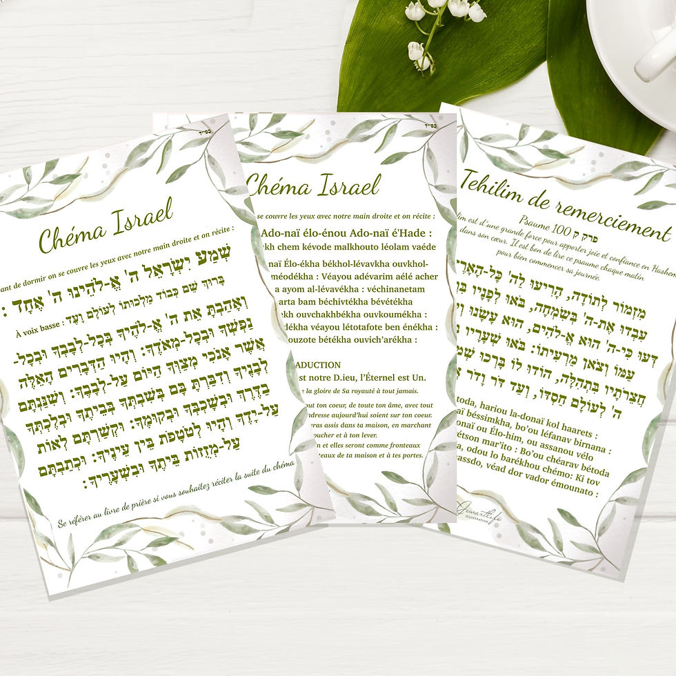 Miniature : Kit de gratitude (carnet et cartes +pochette)