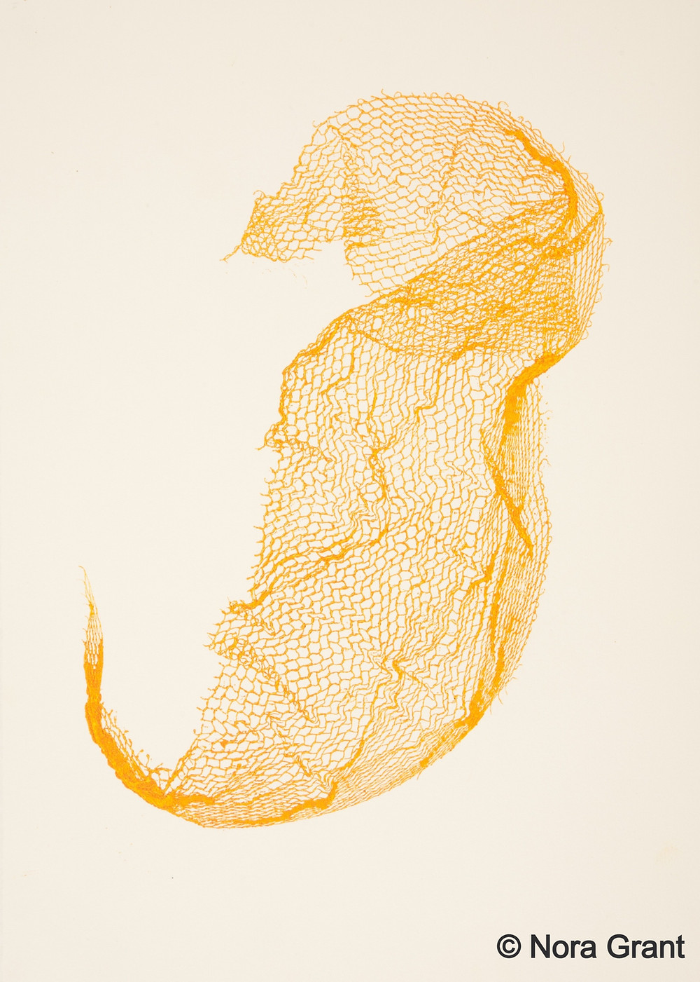 Artwork by Nora Grant